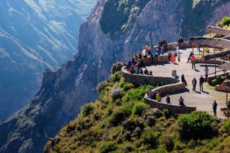 Arequipa: Colca Canyon 1-Tagestour mit Führung | Kondorflug |Flug des Kondors in Arequipa