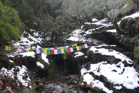 De Katmandu: Trekking de 13 dias na colina Poon e no acampamento base do AnnapurnaDe Katmandu: 13 dias de caminhada na Colina Poon e no acampamento base do Annapurna