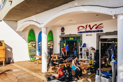Museo Atlantico for non certified divers