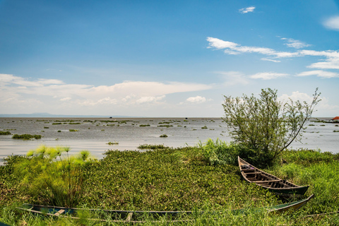 Premium Kisumu Flygplats Transfer: Billigt och bekvämtFlygtransfer från: Kisumu stad till Kisumu flygplats