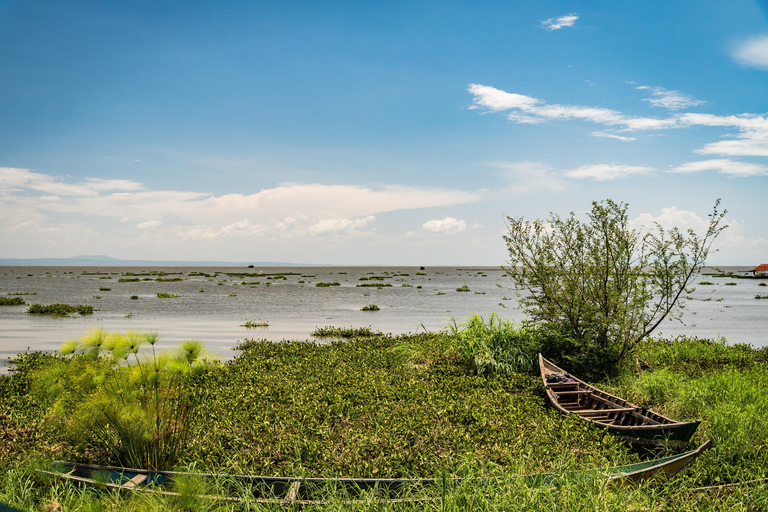 Premium Kisumu Airport Transfer: Tani i wygodnyTransfer lotniskowy z: Miasto Kisumu Do Lotnisko Kisumu