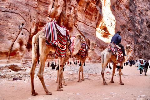 Jordan: 4 Day Tour (Petra, Wadi Rum and Dead Sea Included)