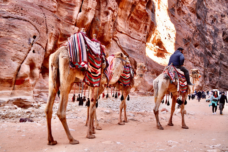 Jordan: 4 Day Tour (Petra, Wadi Rum and Dead Sea Included)