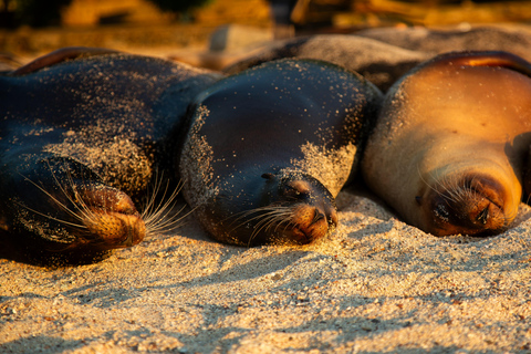 Galápagos Ultimate: 5-Day Adventure Tour with Snorkeling