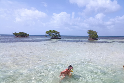Sainte-Rose: Le Grand Cul-de-Sac Marin + Snorkeling + Meal by the Water Sainte-Rose: the large marine cul-de-sac + snorkeling + waterfront meal