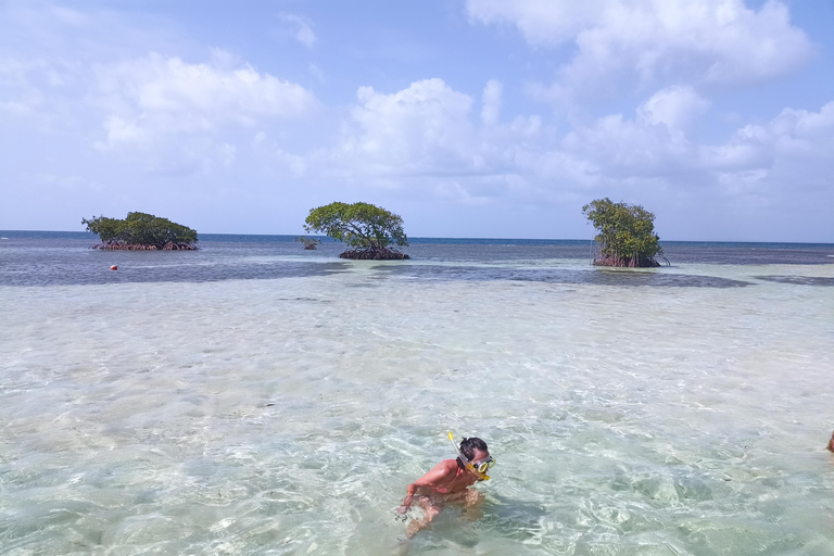 Sainte-Rose: Le Grand Cul-de-Sac Marin + Snorkeling + Meal by the Water Sainte-Rose: the large marine cul-de-sac + snorkeling + waterfront meal