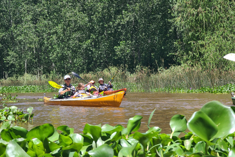 Tigre Delta: Island Life Full-Day Kayaking & Jungle Walk