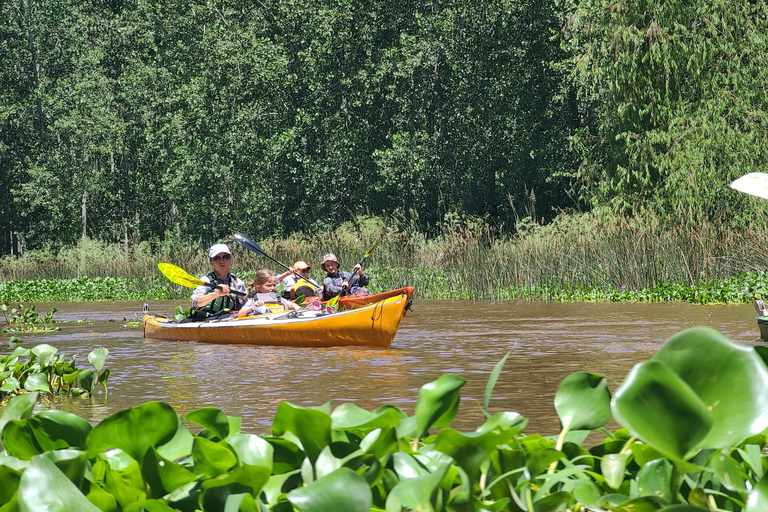 Tigre Delta: Island Life Full-Day Kayaking & Jungle Walk