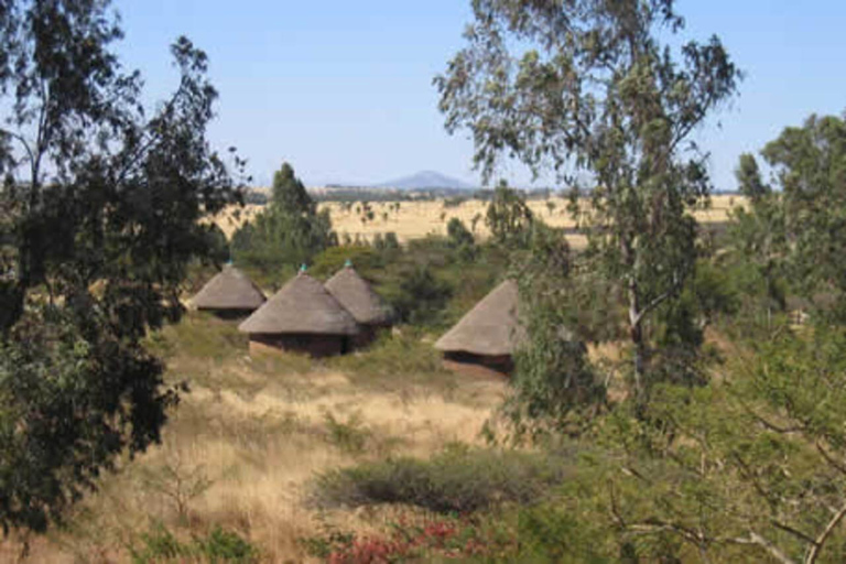 From Addis Ababa: Melka Kunture Archaeological Site Tour