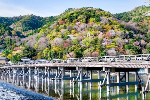 Kyoto : Excursion d'une journée pour découvrir les points forts de la villeTransport en bus uniquement sans déjeuner ni billets d'entrée