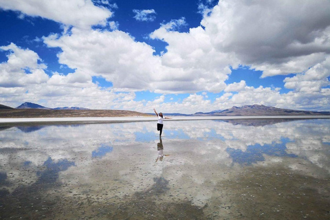 Prezzo dell&#039;offerta Escursione Laguna di Salinas e Riserva Nazionale 8H