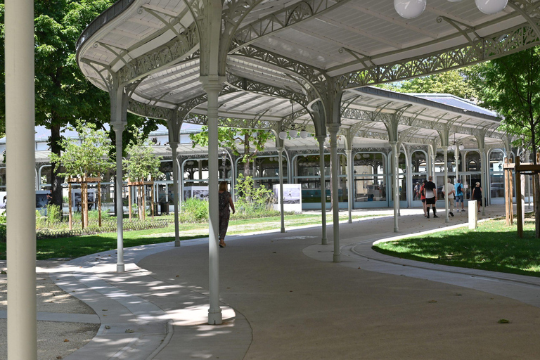 From Lyon: Vichy, City of Water Day Trip