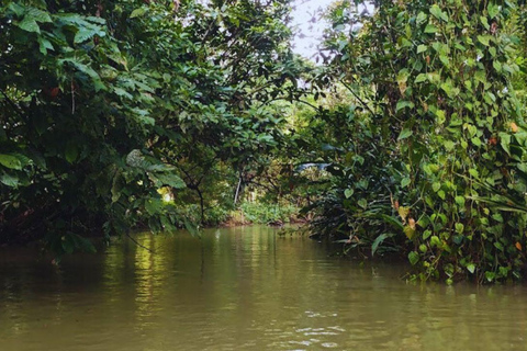 Private Kayaking Adventure: a 2-hour Wildlife Escape Self-Guided Kayaking Adventure: a 2-hour Wildlife Escape