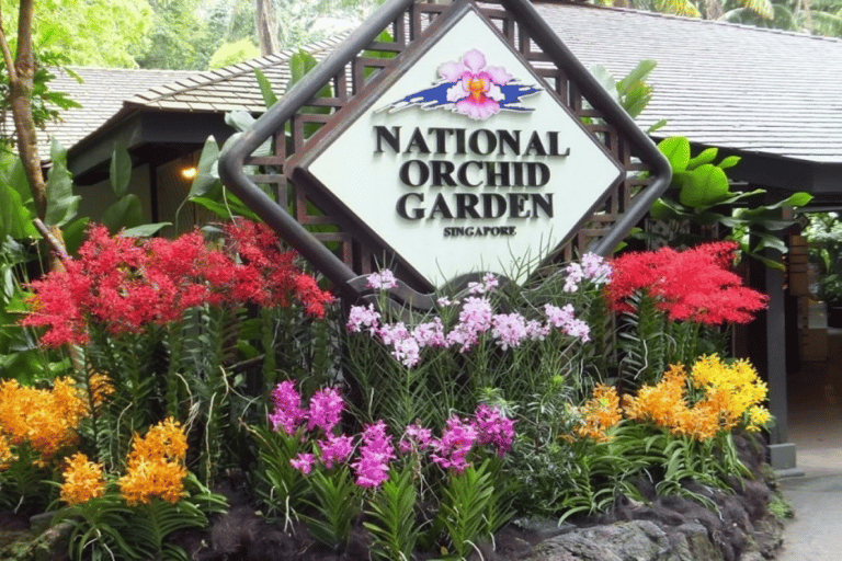 Singapore: National Orchid Garden Admission