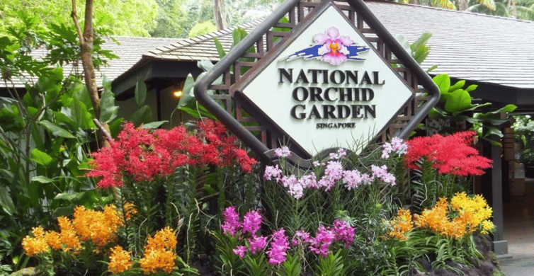 Singapore: National Orchid Garden Admission photo 5