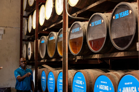 Montego Bay/Negril: Appleton Rum Experience & YS Falls Climb