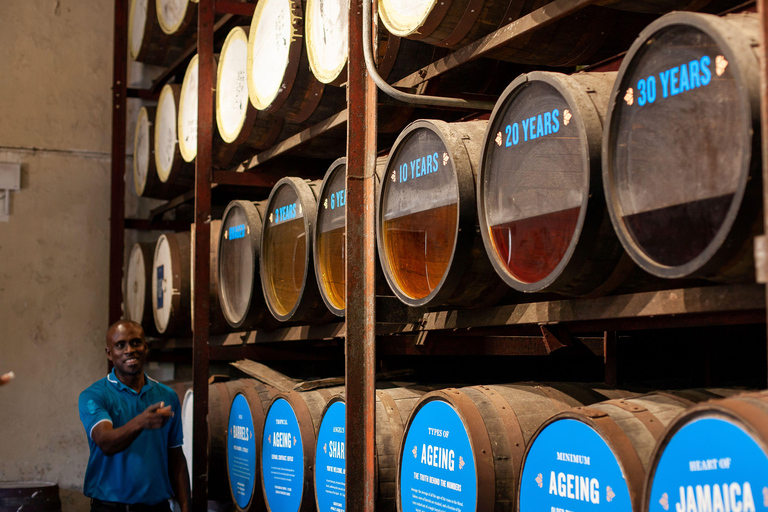 Montego Bay/Negril: Appleton Rum Experience & YS Falls Climb