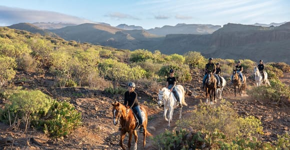 Gran Canaria: Volcanic Trail Horse Riding & Transfer Options