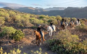  - Canarie.it