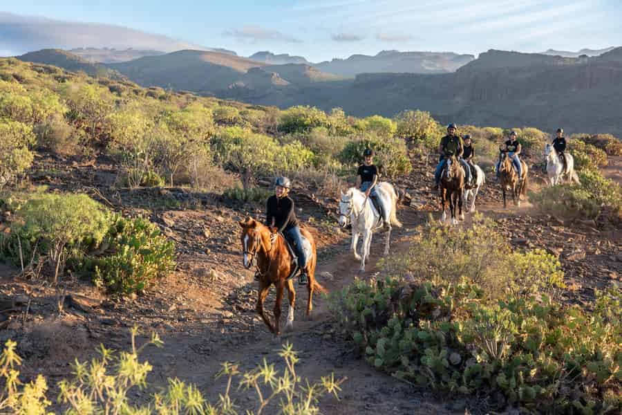 El Salobre: Reitabenteuer mit Transferoptionen. Foto: GetYourGuide