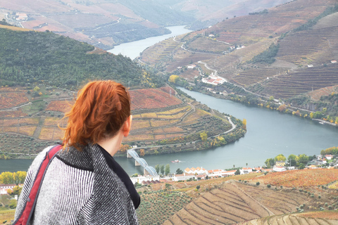 From Porto: Wine Trip w/ Tastings, Chef's Lunch & Boat Tour