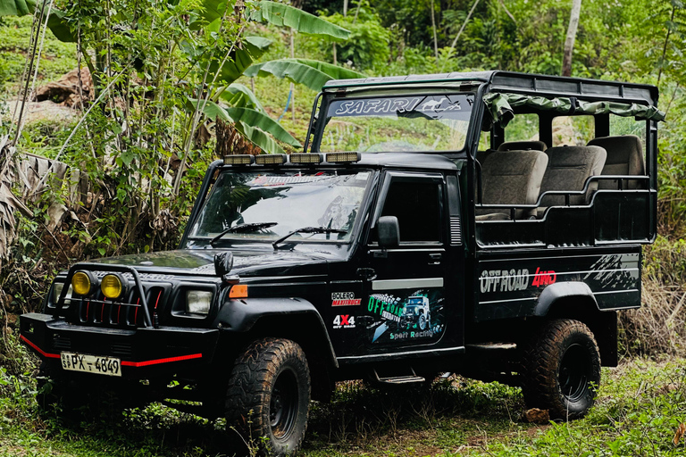 Ella: Zimt, Gewürzgarten &amp; Wasserfall-Tour