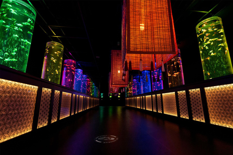 Tokyo: Art Aquarium & "Yozakura" Night Walk Experience