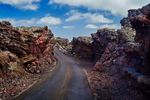 Sud de Lanzarote : excursion aux montagnes du feuLanzarote : excursion du sud de l’île en espagnol