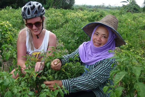 Chiang Mai: 25 km di tempo libero in mountain bike e kayak nella giunglaDa Chiang Mai: tour in bici e kayak