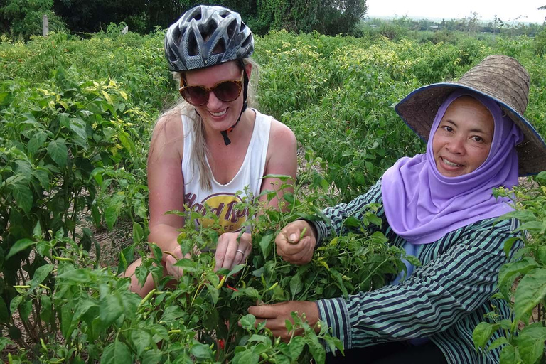 Chiang Mai: 25 km di tempo libero in mountain bike e kayak nella giunglaDa Chiang Mai: tour in bici e kayak