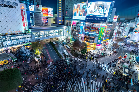 Tokyo Private Guided Tour With Hotel Pickup and Drop-off
