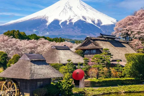 From Tokyo/Yokohama: To Mt. Fuji/Hakone Private Day Trip