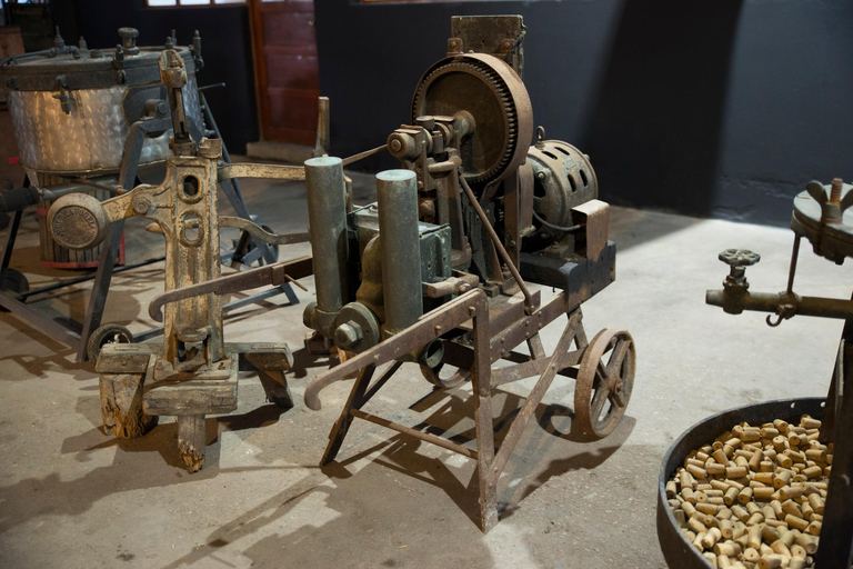 Montevideo: Tour of a century-old urban winery and tasting of 6 wines