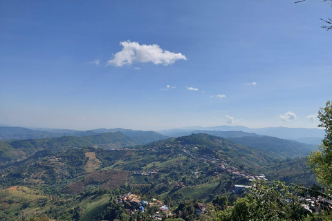 Chiang Rai: Mountains Discovery Doi Mae Salong & Doi Tung Mountains Discovery:Doi Mae Salong & Doi Tung (Private Tour)