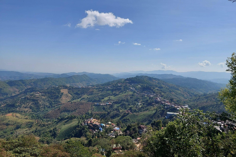 Chiang Rai: Mountains Discovery Doi Mae Salong & Doi Tung Mountains Discovery:Doi Mae Salong & Doi Tung (Private Tour)