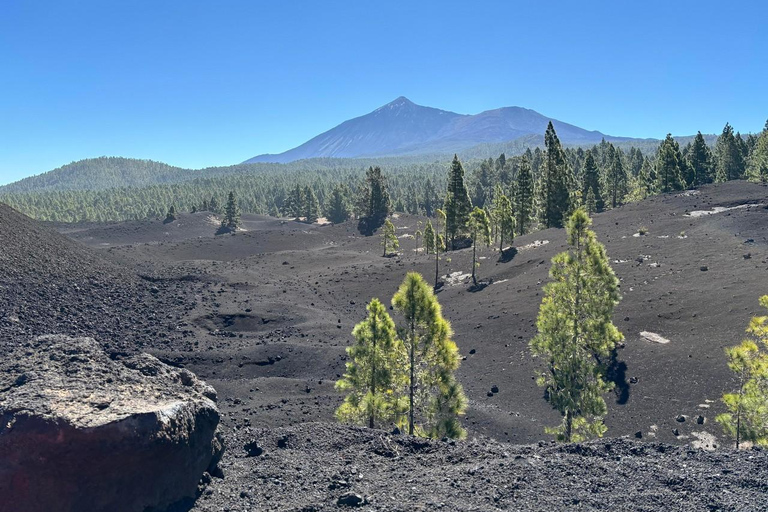 Tenerife: premium e-bike ride at Chineyro volcanic area