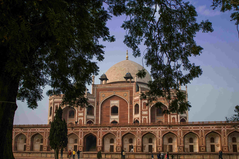 Delhi: Tomba di Humayun e Tomba Safdarjung Tour di mezza giornata guidato