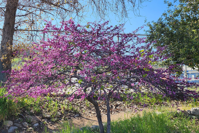 LA River Eco Tour and Secret Stair Hike