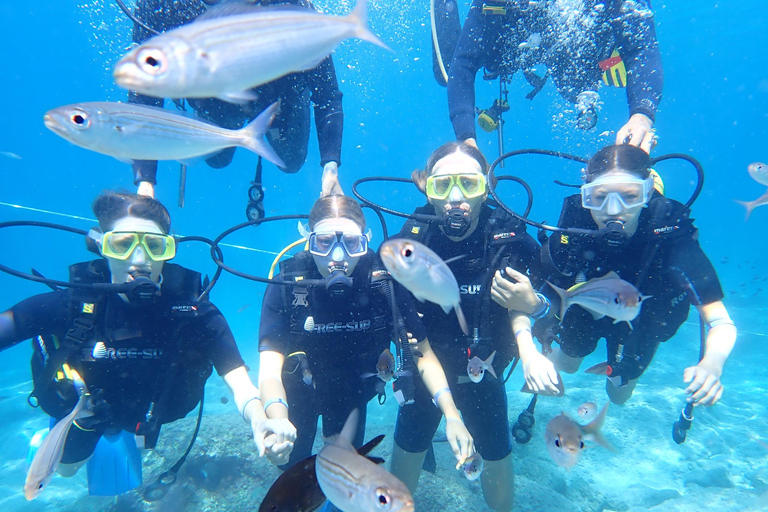 Alanya: PADI Discover Dive & Certified Training Options First Time Diving Option