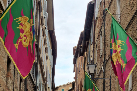 Siena: Guided city tour in German