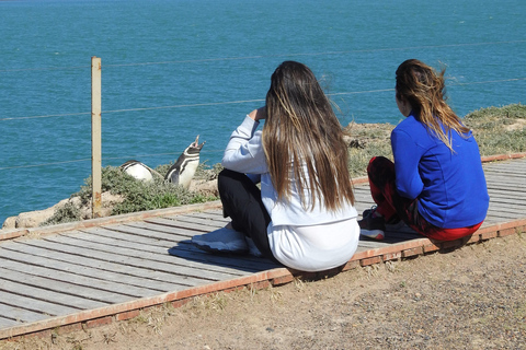 Escursioni a terra nella Península Valdés