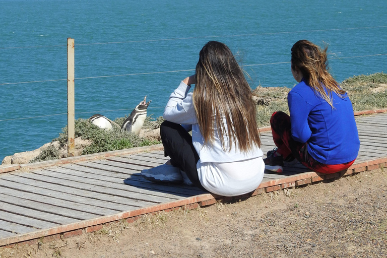 Escursioni a terra nella Península Valdés