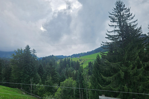 Zürich:Interlaken Grindelwald,Lauterbrunnen (Tillval Privat)