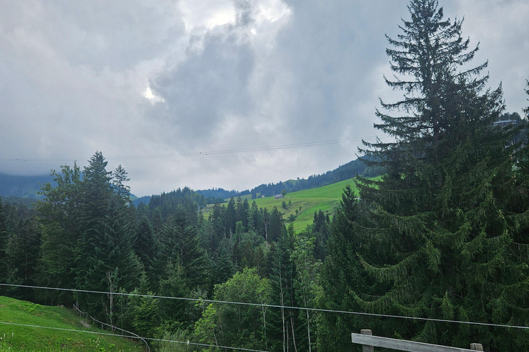 Zürich:Interlaken Grindelwald,Lauterbrunnen (Tillval Privat)