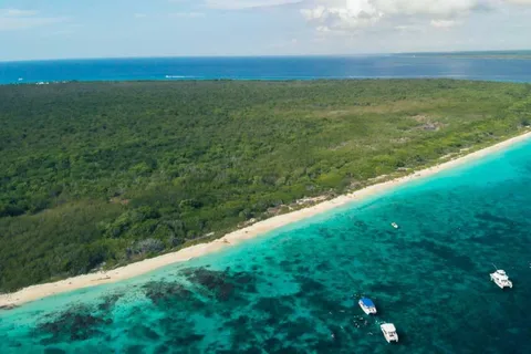 Da Punta Cana: Tour di snorkeling dell'Isola di Catalina