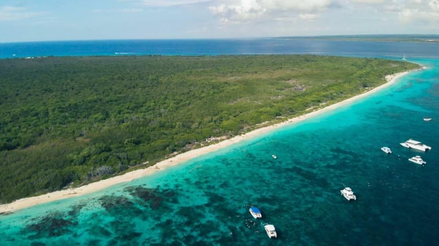 Snorkeling Catalina Island From Punta Cana