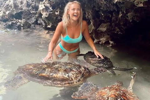 Nungwi: Swim with Sea Turtles at Sanctuary with Transfer Private Tour with Hotel Transfer Anywhere in Zanzibar
