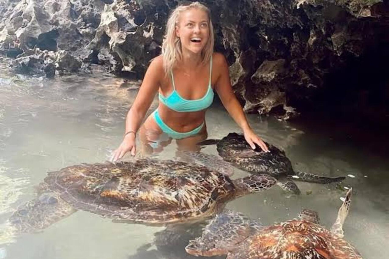 Nungwi: Swim with Sea Turtles at Sanctuary with Transfer Private Tour with Hotel Transfer Anywhere in Zanzibar