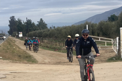 Bike and wine tasting across the Guadalupe Valley Biking and wine tasting across the Guadalupe Valley