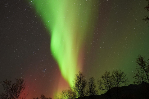 Tromsø: English/Spanish Aurora Pathfinder Tour with Photos Tromsø: English/Spanish Aurora Hunting Private Minibus Tour